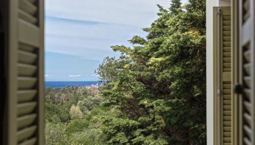 Andros Summer Suites - Foto 5