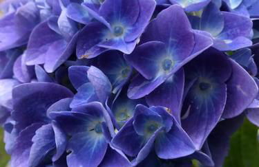 Casa privata con splendida vista lago "Il Gallicantus" - Foto 3