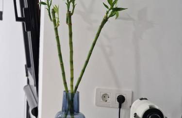 Enjoy Carnanal with extreme confort 4p - Foto 73