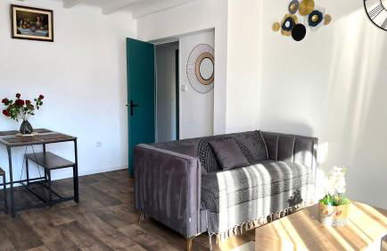 Superbe appartement classé 4 étoiles - le Boulou - Foto 14