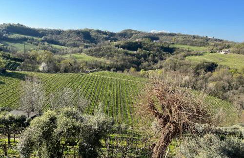 Casa vacanze Pierangela - Foto 15