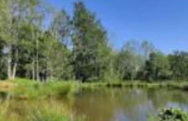 Snug & Secluded Lakeside Shepherds Hut 'Carp' - Foto 45