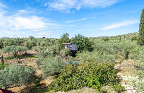 Casa Arbol - Foto 18