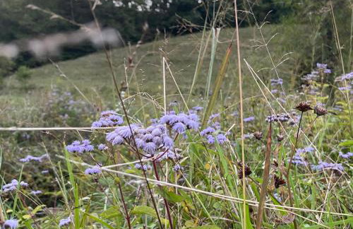 Newly Listed-Private 25-Acre Escape Near Red River Gorge - Foto 146