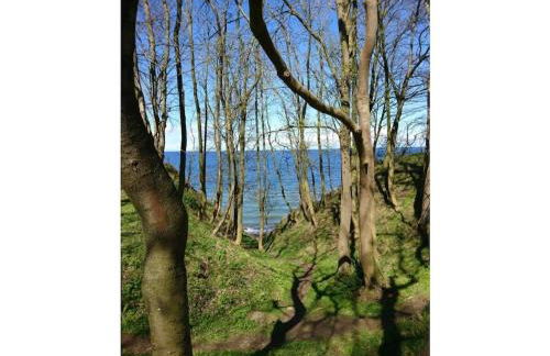 Rosenhagen in the Thorstorf estate barn - Foto 34