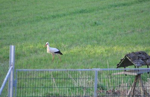 Elbhus Hamburg - Foto 101