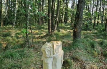 Dom na Leśnym Zaciszu 2 - Foto 41