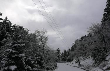 Xenonas Kypseli - Foto 69