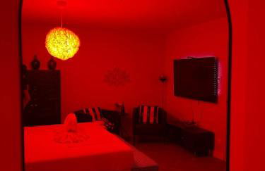 Appart Hôtel Coraline - Genas Lyon Eurexpo - Foto 86