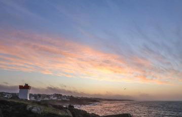 Les hortensias de papy - Foto 35