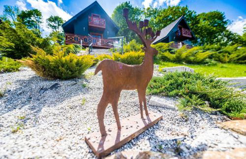 Centrum Spokoju - Domki w Karkonoszach - Foto 23