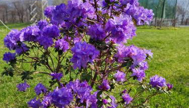 Cà del Poz - Foto 5