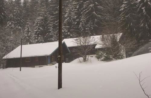 Quellenhof Kollnburg - Foto 18