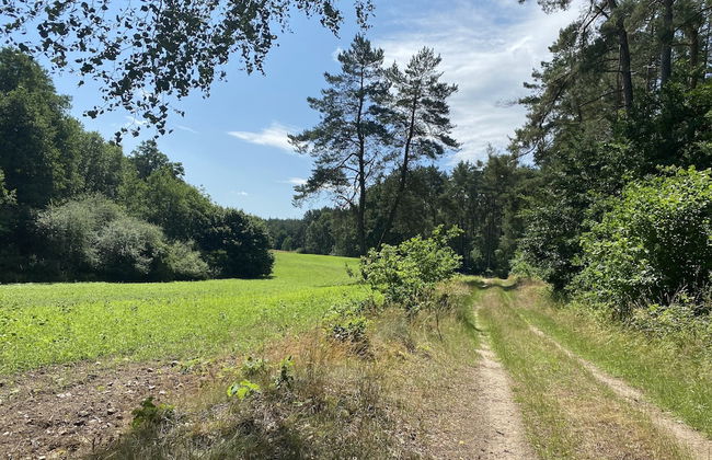 Landurlaub in Lubberstorf - Foto 33