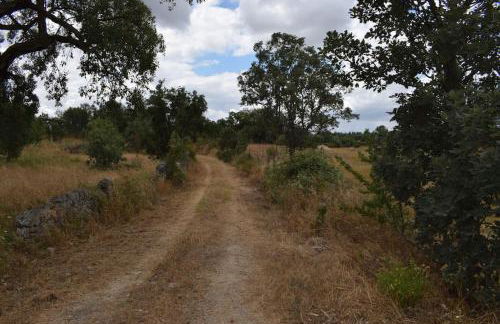 Casa da Aldeia by Portus Alacer - Foto 42