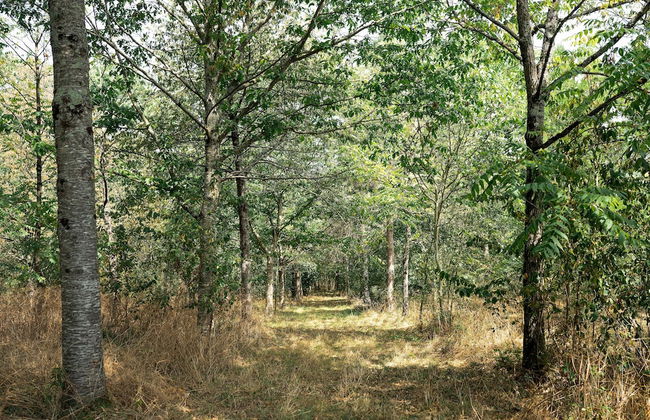 Château L'escale - Photo 71