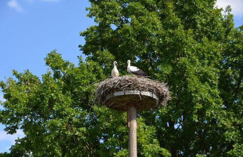 Ferienappartements "Landromantik" - Foto 72