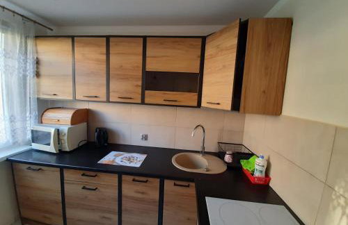 Apartament Laurka - Foto 8