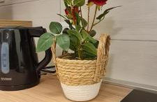 Gruppo Aedes Alghero, Residenza Lido - 80 mt dalla spiaggia - Photo 8