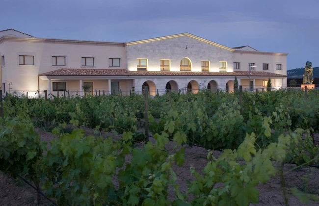 Visita alla cantina Emina Ribera - Foto 2