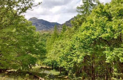 Ty Hen - Quirky Grade II Listed Cottage - Foto 29