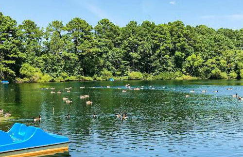 Bay-View Beauty in Assateague Point - Foto 28