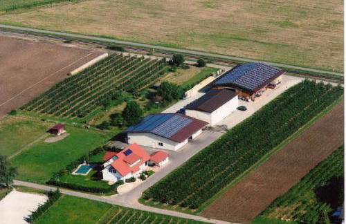 Ferien - Apartment umgeben von Obstplantagen - Foto 14