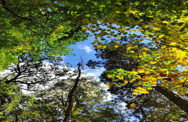 Chalet in Wendorf - Foto 28