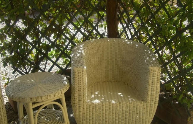 Agrisalotto - Foto 5