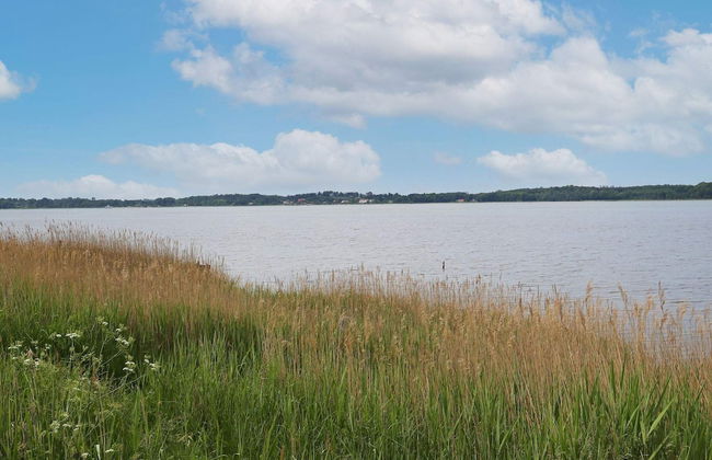 6 Person Holiday Home in Jaegerspris - Photo 14