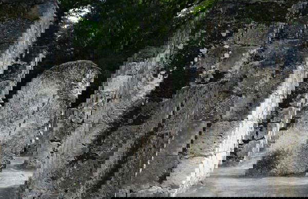 Day Trip to El Ceibal - Photo 4