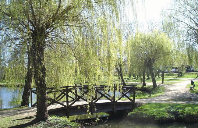 Kurpark Residence Spot - Foto 7