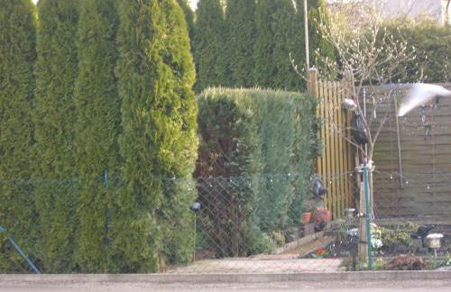 Stadtwohnung - Foto 27