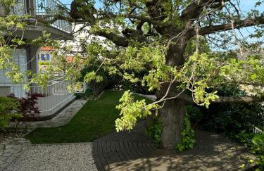 Apartmani Marija Klimno A - Foto 17