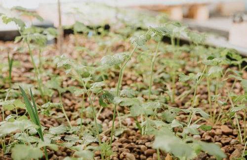 Cortijo Santa Clara - Foto 68