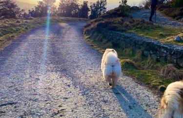 Tanglewood Stays - Foto 67