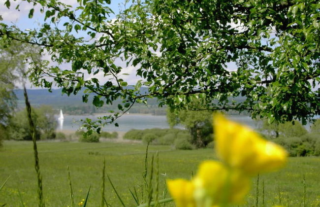 Boardinghouse Bodensee - Foto 9