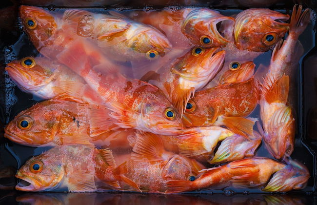 The Factory - Foto 37