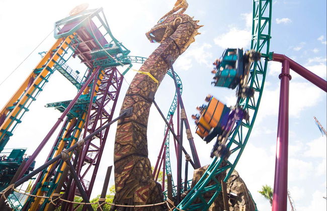 Entrada a Busch Gardens Tampa Bay - Foto 4