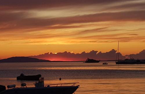 Dolphin view with a pool by the beach - Foto 27