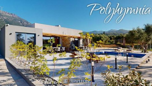 Epipleon Serenity Villas - Foto 5