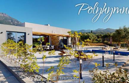 Epipleon Serenity Villas - Foto 5