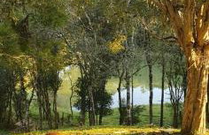 Refugio do Capivari - Foto 15