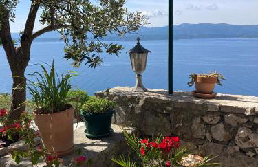 Blue Dream - Foto 14