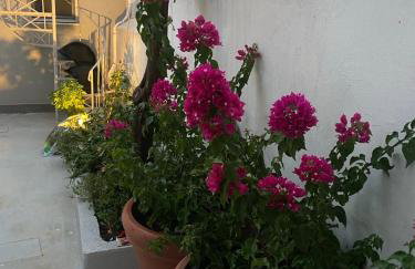 Alexandra apartment - Foto 25