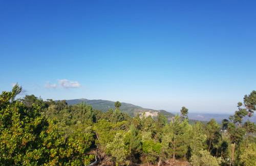 Luar do Cano - Foto 35