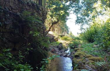 Moinho do Formigal - Foto 7