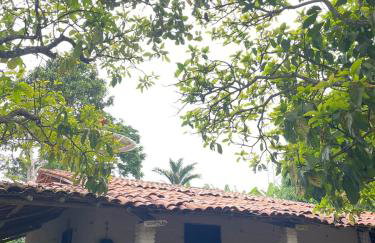 Sítio na Serra de Mulungu - Foto 33