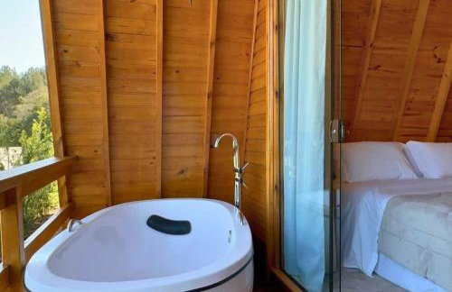 RELAX - Refúgio na serra gaúcha Banheira - Foto 3