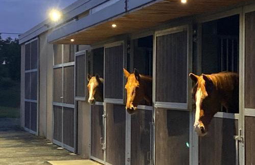 Logement entier de charme, gite équestre GERS Flamarens - Foto 45